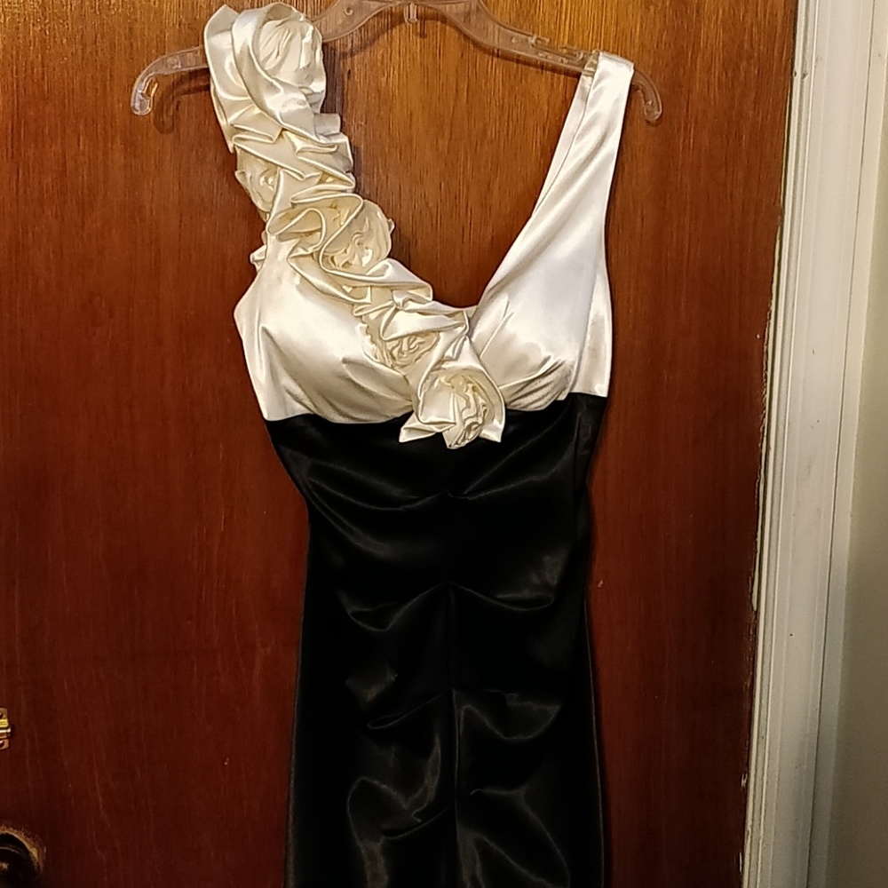 JC Penny Dress